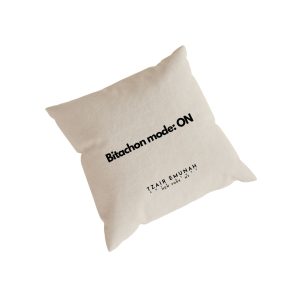 Bitachon mood:ON Pillows - Tzair Emunah